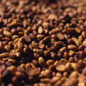 DECAF // Marcala, Honduras